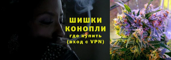амф Мегион