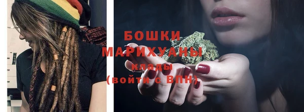 ГАЛЛЮЦИНОГЕННЫЕ ГРИБЫ Медногорск