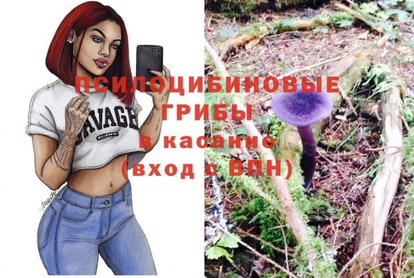 амф Мегион