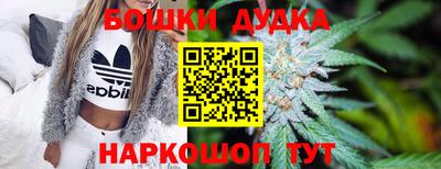индика Донецк