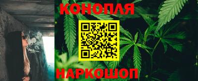 индика Донецк