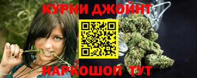 индика Донецк
