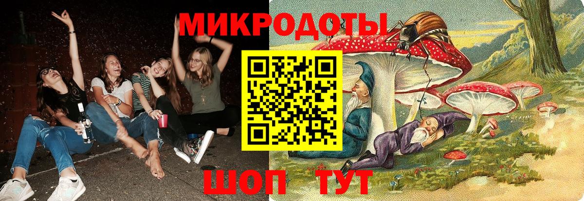 Шахты  магазин    Вход с VPN  Галлюциногенные грибы мицелий 