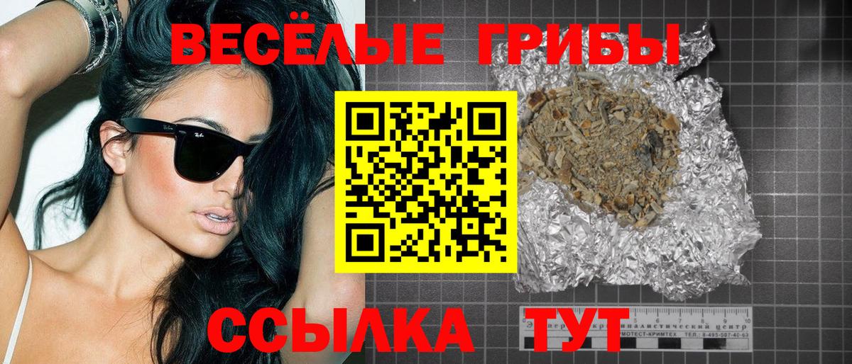 Галлюциногенные грибы Cubensis Шахты